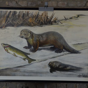 Otter: original vintage 1930s schwedisches Schulposter Schulwandkarte Roll Down Poster Fluss Süß Tier Fisch Süßtier Winter Lithographie