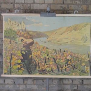 Vignoble, récolte du vin : affiche éducative allemande originale des années 1890, tableau mural scolaire déroulant impression raisins viticulture Rhein Rhin