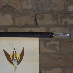 May include: A vintage botanical illustration of a flower's anatomy, with brown, yellow, and white details. The illustration is mounted on a black wooden rod with a metal hanging mechanism, against a brick wall.