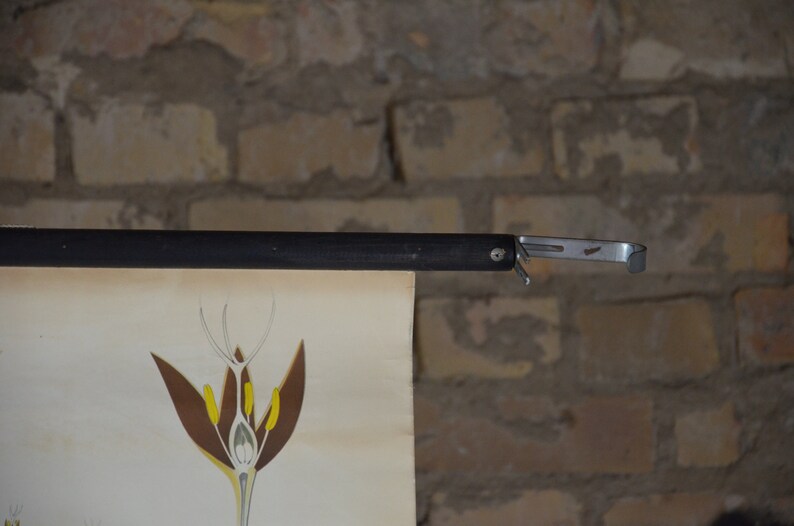 May include: A vintage botanical illustration of a flower's anatomy, with brown, yellow, and white details. The illustration is mounted on a black wooden rod with a metal hanging mechanism, against a brick wall.