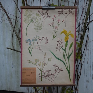 Soorten bloesems, bloem: originele vintage Tsjechische schoolposter uit de jaren 60 muurkaart botanische print tuinieren plantenfysiologie