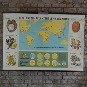 Pflanzenöl, Margarine: original vintage 1950er Lehrposter Schule Wandkarte Druck Fat Butter Palme Kokosnuss Sesam Erdnuss Karte