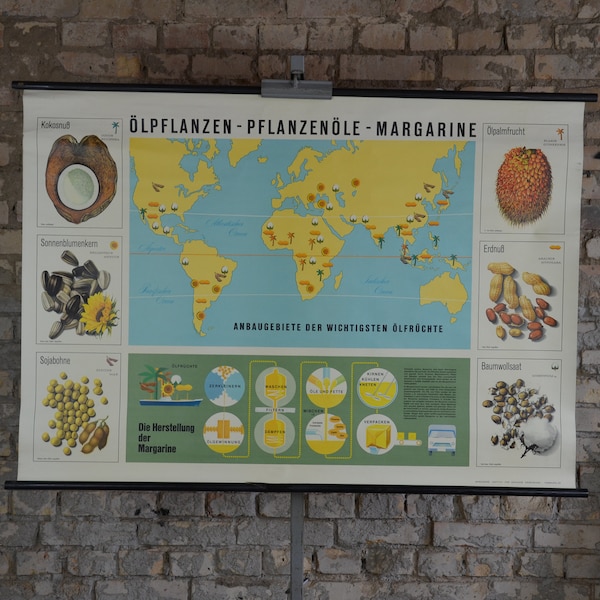 Plant Oil, Margarine: original vintage German 1950s educational poster school wall chart print fat butter palm coconut sesame peanut map
