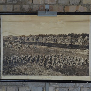 Upland moor, hill  bog: original antique 1920s German educational school poster school wall chart peat bricks early photo print Hochmoor