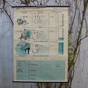 Consumo di ossigeno del corpo umano al lavoro: originale annata 1960 tedesco poster educativo scolastico stampa carta da parete metà del secolo