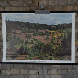 Lüneburger Heide: affiche éducative originale des années 1960 tableau mural de l’école Lüneburg Paysage de bruyère Allemagne photo colorisée