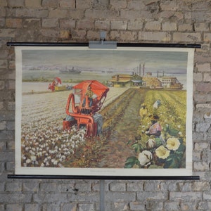 Cotton Harvest, Fleuve Mississippi États-Unis: vintage original des années 1960 Affiche éducative allemande carte murale impression plantation moissonneuse