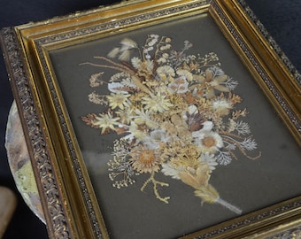Unikt inramat alpint herbarium: original antik österrikisk botanisk utställning från 1890-talet i förgylld ram, Edelweiss