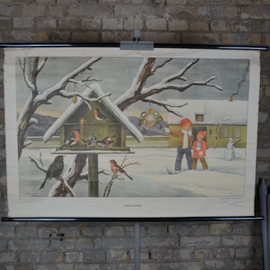 Oiseaux d’hiver : vintage original des années 1960 affiche éducative allemande tableau mural de l’école rouler vers le bas impression antique observation des oiseaux seins ornithologie corbeau
