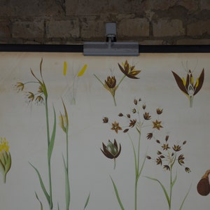 May include: A vintage botanical chart displaying detailed illustrations of various plant species. The chart features drawings of flowers, stems, and seeds in shades of brown, yellow, and green against a cream background. It is mounted on a black metal rod.