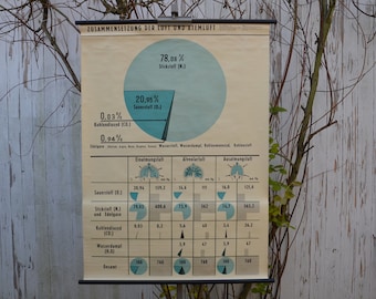 Composition of the breathing air: original vintage 1960s German Medical educational poster school wall chart print mid century illustration