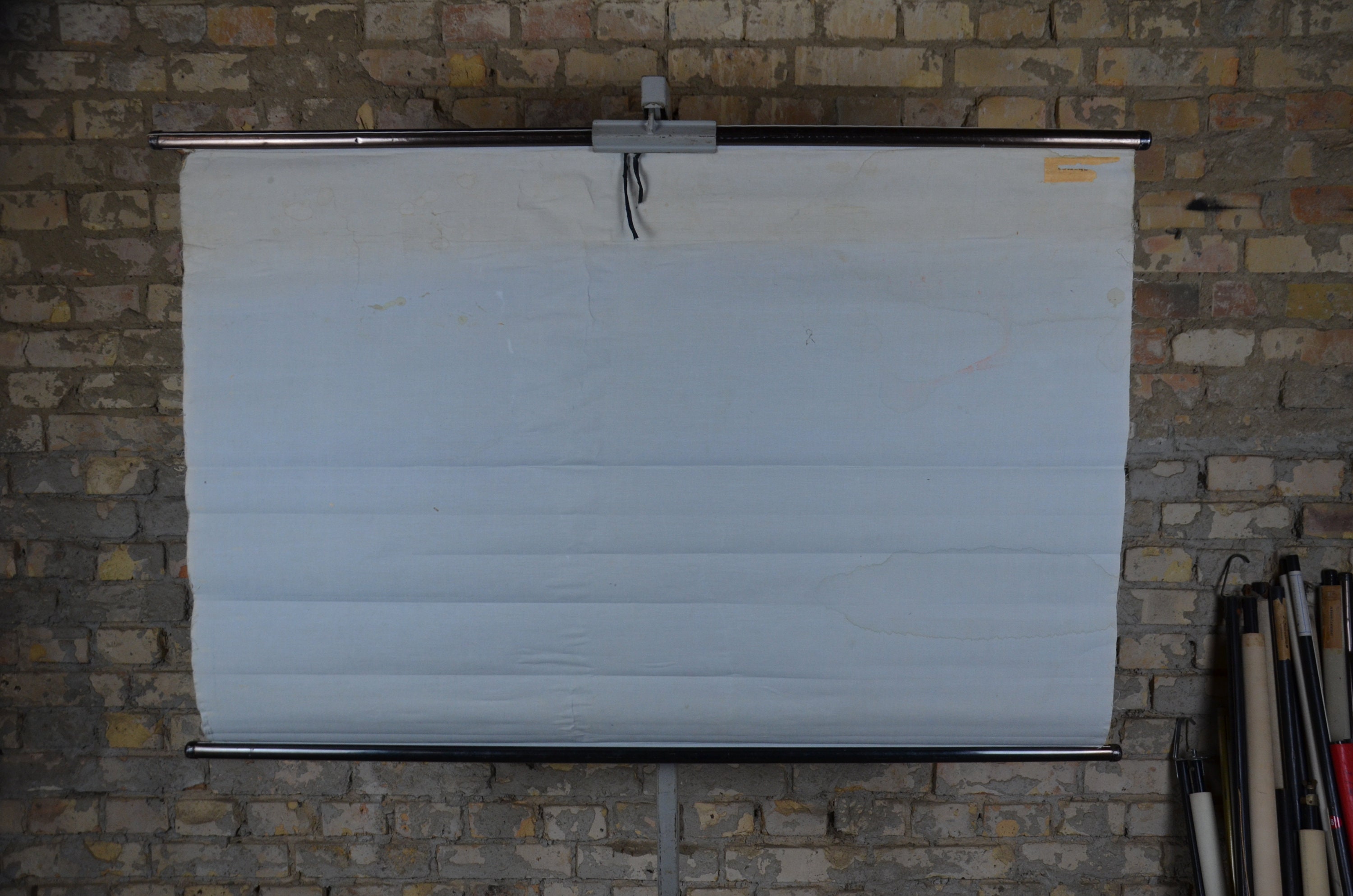 Perch Skeleton Fish Anatomy: Distressed Original Vintage - Etsy