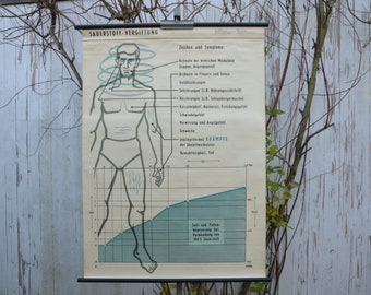 Symptoms of Oxygen Poisoning: original vintage 1960s German Medical educational poster school wall chart anatomical print diver mid century