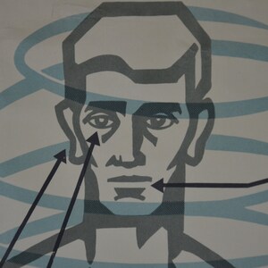 Wahnsinn & Tod; Sauerstoffmangel: Original Vintage 1960er Jahre Lehrposter Schule Wandkarte anatomischer Druck