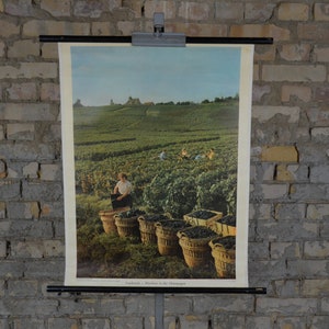 Weinlese, Weinlese in Der Champagne, Frankreich: Original Vintage 1960er Jahre Deutsches Lehrposter Schulwandkarte Roll down Print French Wine