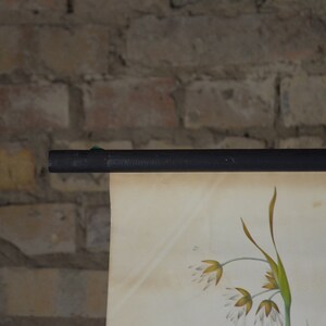 May include: A vintage botanical print depicting wildflowers in yellow, green, and white. The print is mounted on a black rod and hangs against a brick wall, creating a classic aesthetic. The print is a charming piece of wall art.