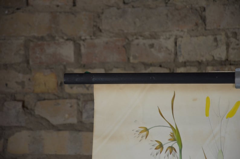 May include: A vintage botanical print depicting wildflowers in yellow, green, and white. The print is mounted on a black rod and hangs against a brick wall, creating a classic aesthetic. The print is a charming piece of wall art.