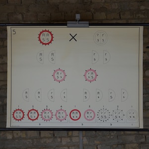 Génétique, diagramme des traits héréditaires: original vintage 1950s Affiche éducative néerlandaise tableau mural de l’école rouleau bas imprimer Genes Mendel DNA