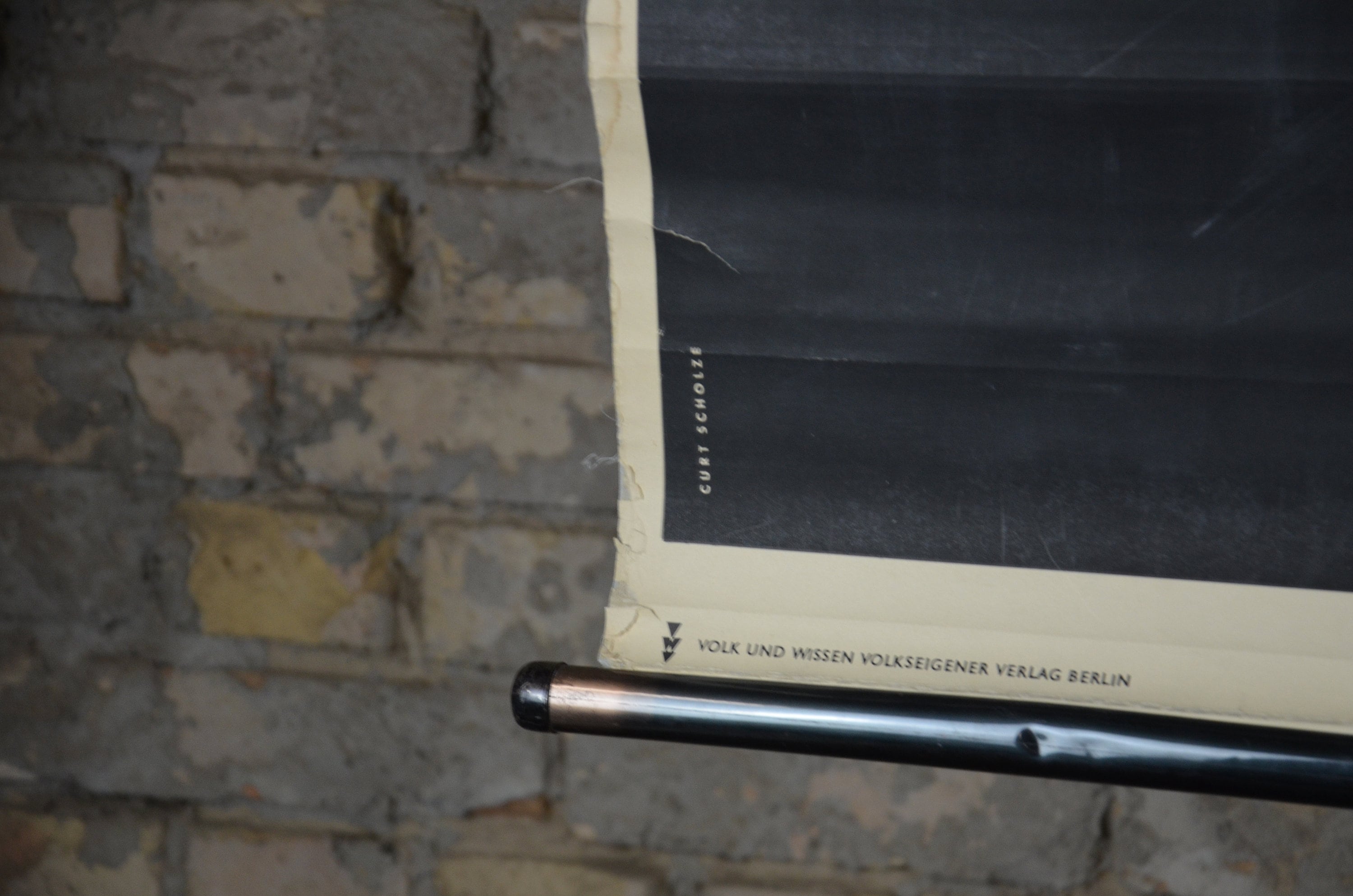 Perch Skeleton Fish Anatomy: Distressed Original Vintage - Etsy