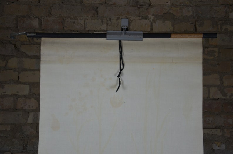 May include: A vintage educational chart, suspended from a metal and wood bar with a black cord. The chart is off-white with age spots, mounted against a brick wall. The bar is held by a metal clamp.