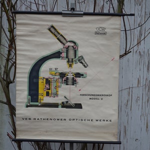 Optische Microscoop, Lab, Wetenschap: originele vintage jaren 1960 Duitse educatieve poster school muurkaart rol naar beneden wetenschappelijk print laboratorium