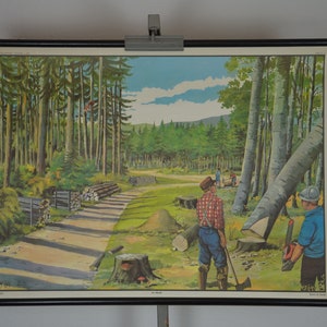 En el bosque: original vintage de la década de 1960 cartel educativo alemán gráfico de pared de la escuela impresión madera madera leñadores forestales árboles motosierra