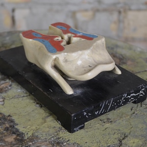 Human Throat, Oesophagus & Tongue, anatomy model: original antique 1920s educational anatomical plaster cast school biology larynx vintage