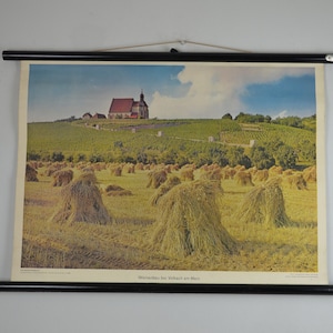 Weinberg in Volkach, Franken: original Jahrgang 1960er Jahre pädagogische Schule Plakat rollen Rand Wandkarte Schulwandkarte Franken Wein Wein Druck