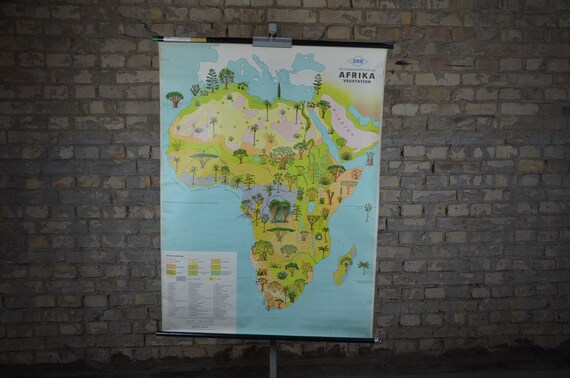 Flora of Africa, Plants, Trees: Original Vintage 1960s German Educational  Poster School Wall Chart Roll Down Safari Rainforest Vegetation - Etsy