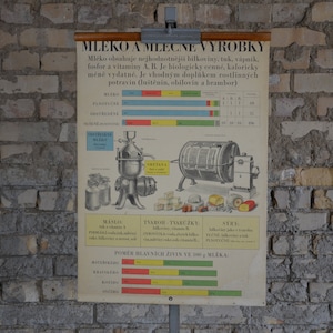 Käse, Molkerei: original antik 1950er Jahre Tschechisches Lehrposter Schule Wandkarte Mid Century Illustration Druck Ernährung Milchbutter Kuh