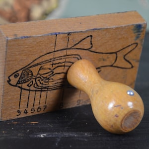 Fish Anatomy: original 1970s German school educational classroom stamp biology worksheet printer anatomical science internal organs antique