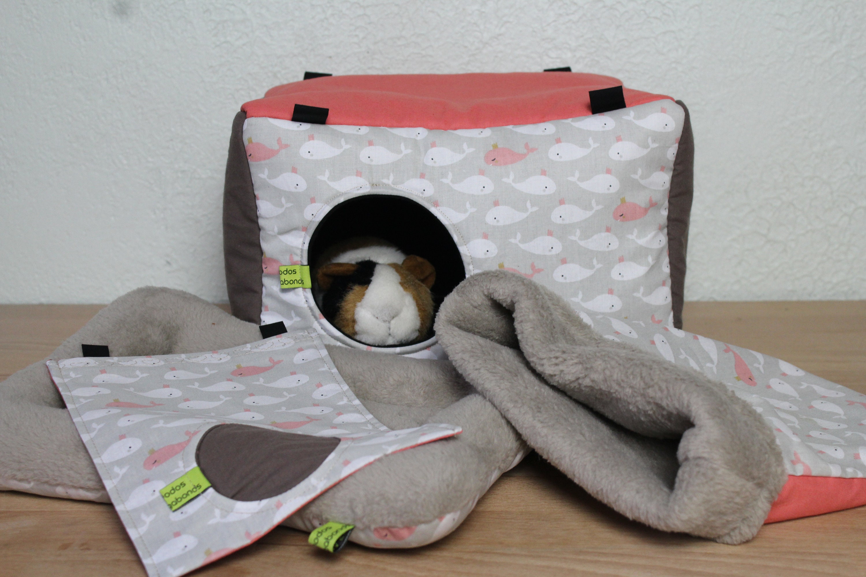 Lot de Dodos et Accessoires Pour Cochons d'inde