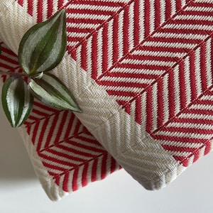 May include: Two cushions with a red and white zigzag pattern. The cushions are made of a textured fabric and have a neutral-coloured border. A sprig of green and silver-striped leaves is in the foreground.