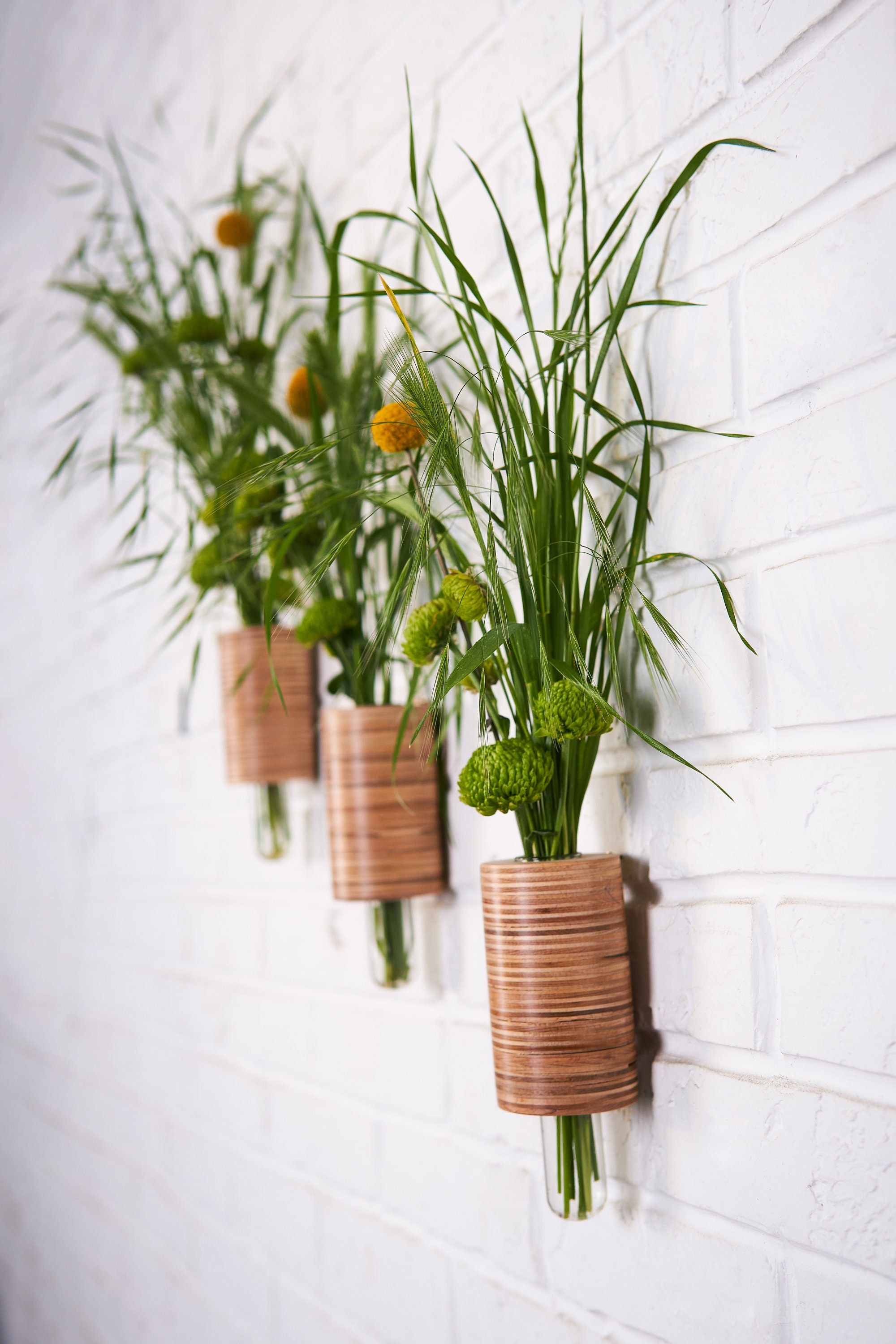 Wall decor set/Wall Hanging Plant Propagation Station/Wall Vases/Planters for Indoor/Plant Bundle/Cuttings Propagation/Home decor/PlantDecor
