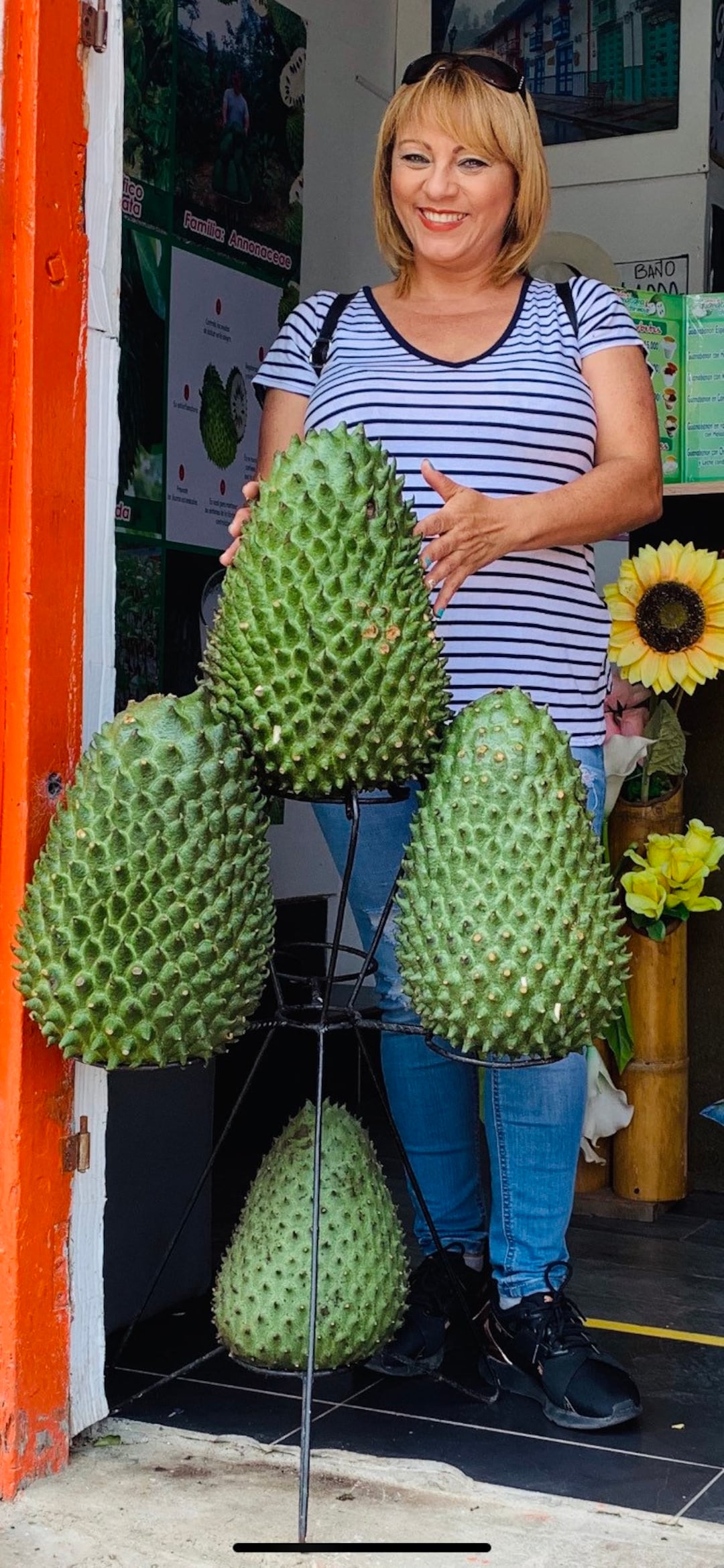 Guanabana 5 seed (Annona muricata )mega gigantes colombiana  