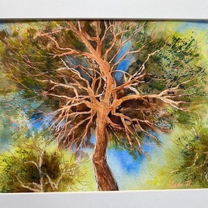 May include: Watercolor painting of a tree with a bright blue sky in the background. The tree has a thick trunk and many branches. The branches are a reddish-brown color and the leaves are a dark green color. The sky is a bright blue color with some white clouds.