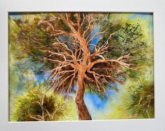 Mediterenian pinos-pine trees original watercolor painting