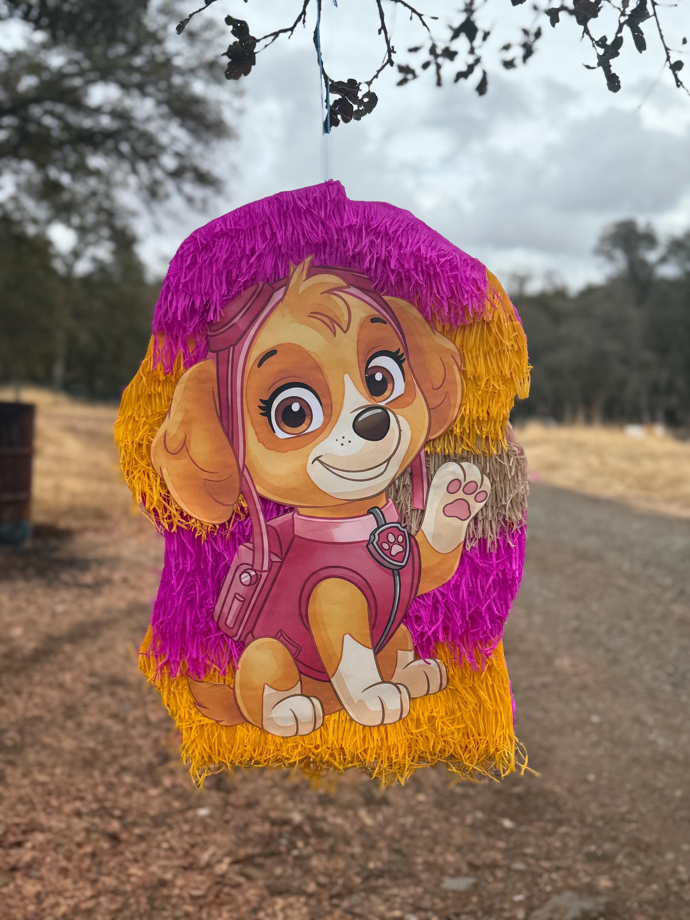 Buy Piñata Paw Patrol Online In India India