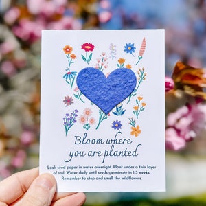 Wildflower Seed Favors, 8 Seed Paper Heart Postcards, Eco Friendly Birthday Party Favor, Inspirational Gift, Plantable Classroom Valentines