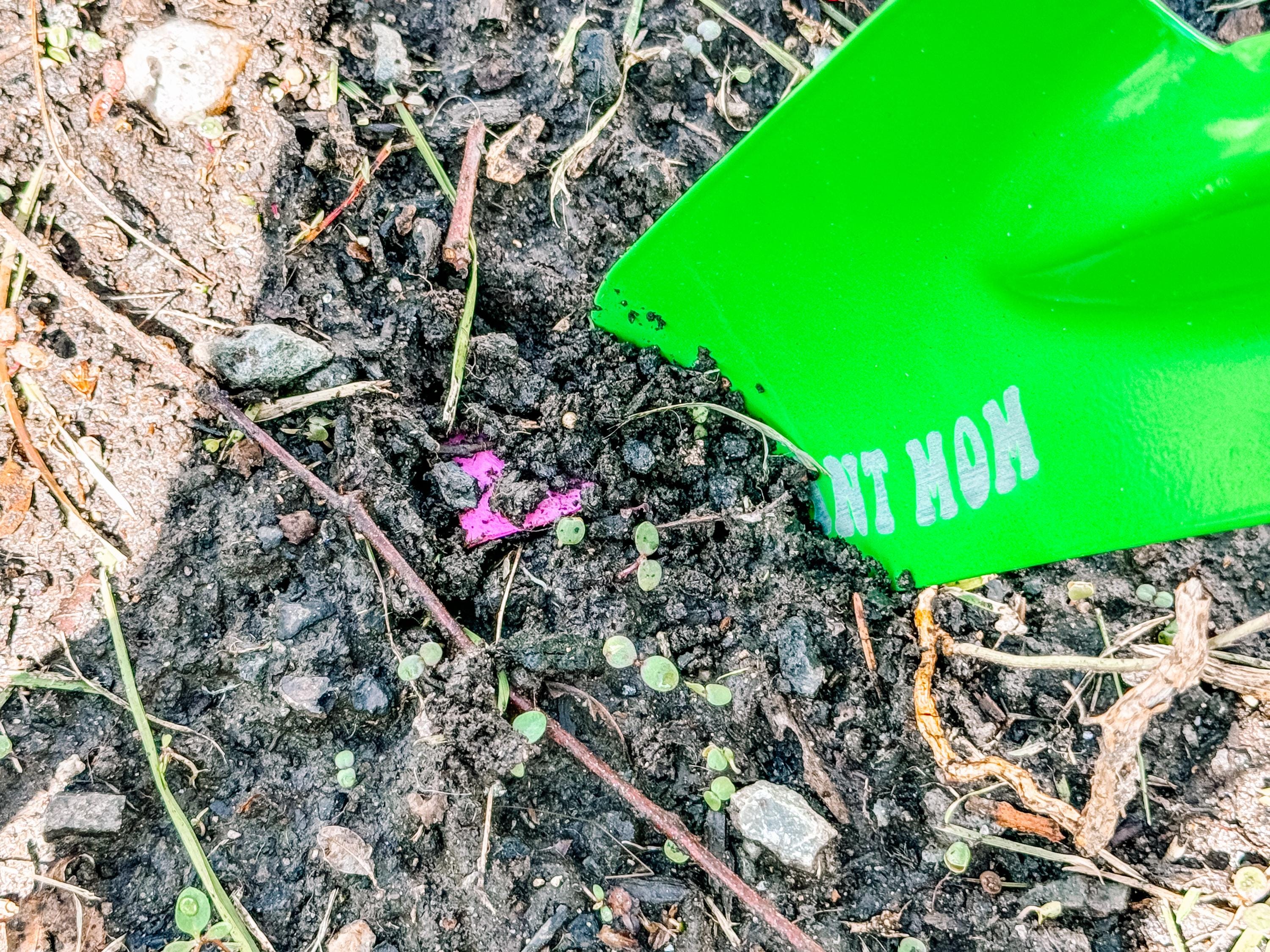 Coriandoli Di Fiori Da Piantare – 10 Sacchetti Con Semi Di Fiori Selvatici E Carta Da Semi, Regalo Sostenibile