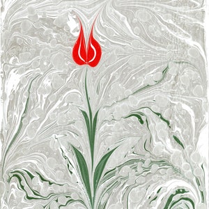 Printible Marbling With Red Tulip,Red Tulip Wall Art,Marbling Wall Art,Handmade Ebru Paper,Traditional Turkish Ebru Art,Floral Wall Art