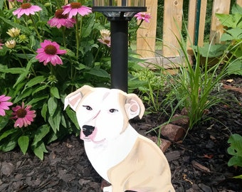 Pet Solar Light