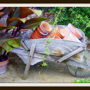 Gardener&#39;s Life