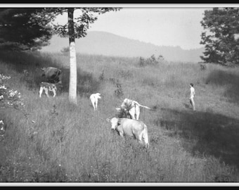 Performance Art Nude - Etsy