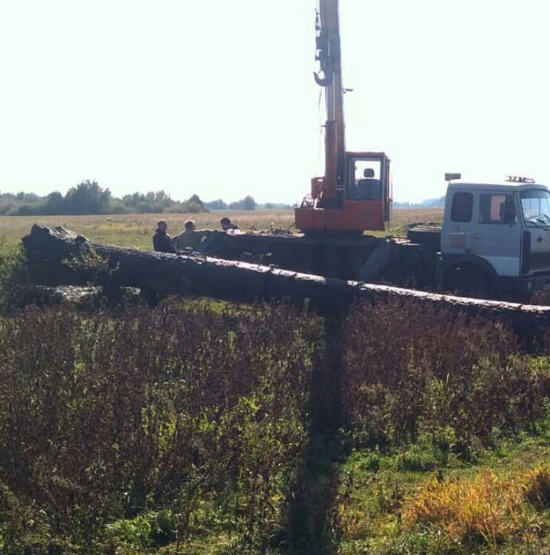Ältester Baum Der Erde Ältester Baum Der Erde