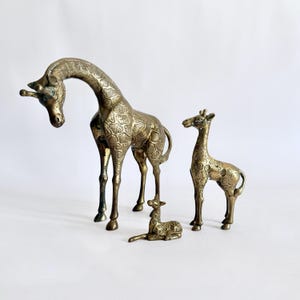 May include: A collection of brass giraffe figurines in various sizes. The largest giraffe has a long, curved neck and stands tall, while others are smaller and in different poses, including a lying-down position. The brass has a detailed, textured pattern.