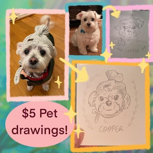 REAL DRAWING Pet Portrait, Personalized Pet Portrait, Custom Pet Portrait From Photo, Custom Dog Portrait, Pet lover gift, Pet portrait