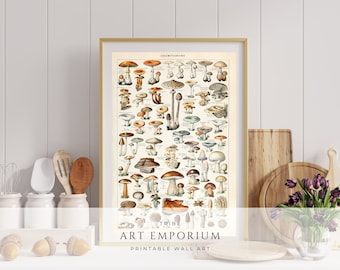 Vintage Mushroom Poster, Fungi Botanical Illustration (Digital Download)