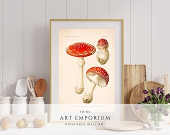Fliegenpilz Vintage Fungi Poster Art Illustration, Champignons, Retro Dekor, DIGITAL DOWNLOAD, Pilzkunst, Cottage Core, Pilzplakat