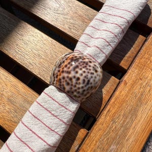 May include: A seashell napkin ring holds a white and red striped napkin on a wooden table. The napkin ring is a natural, spotted seashell, adding a coastal touch. The table has a warm, natural wood finish.